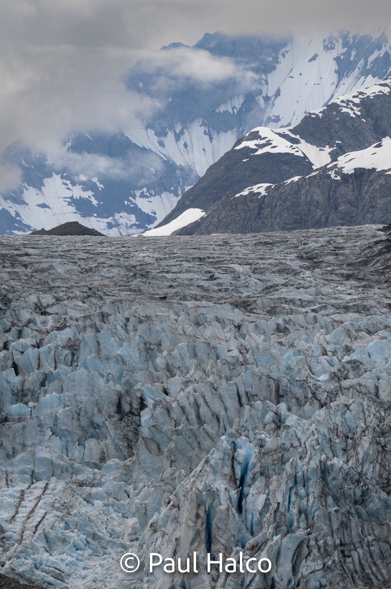 Paul Halco - Glacier Bay NP-29